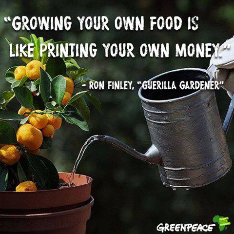 !  !  !  A  A  AGrowing own food printing money